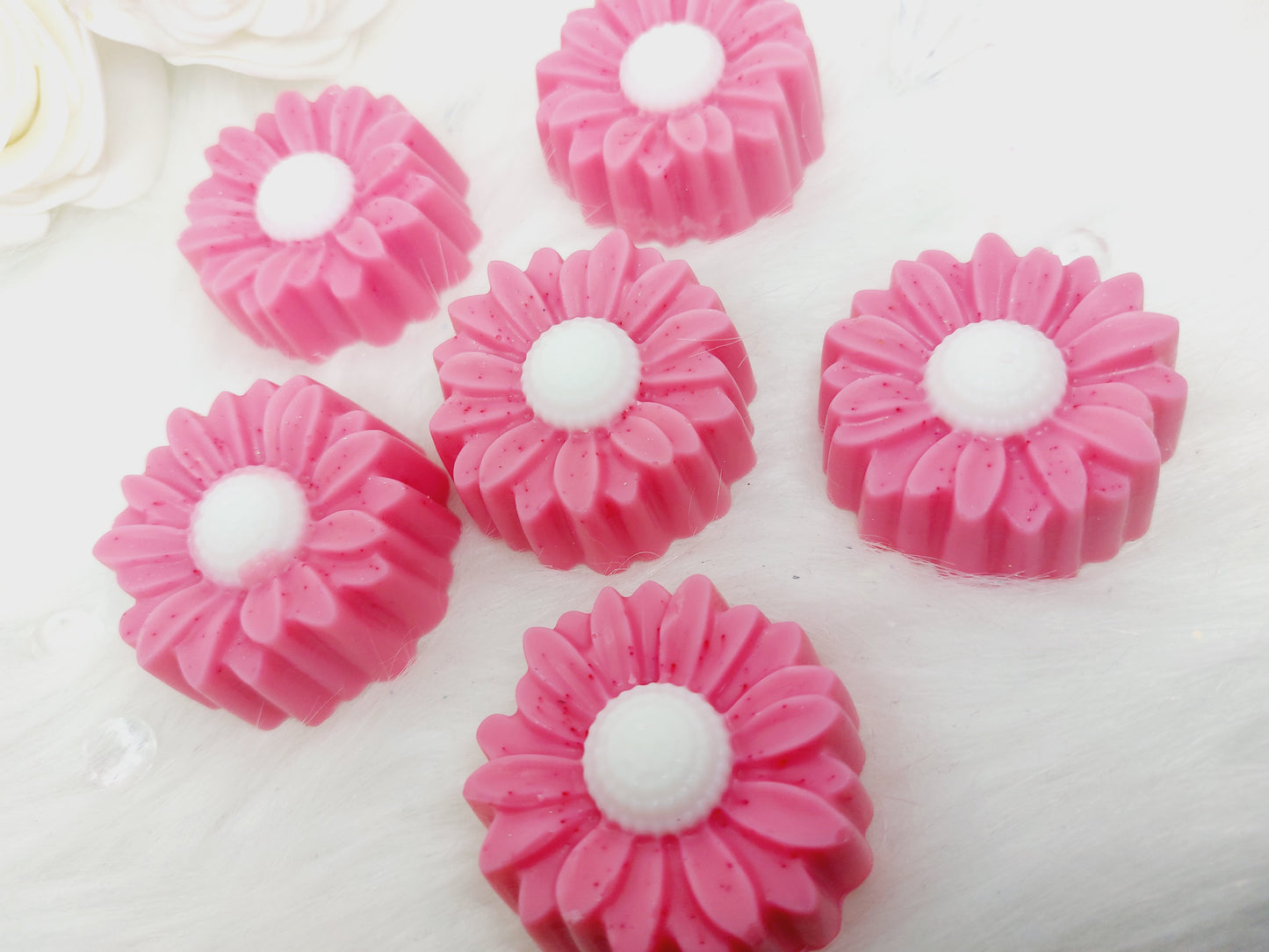 La Vie est Belle Sunflower Shapes