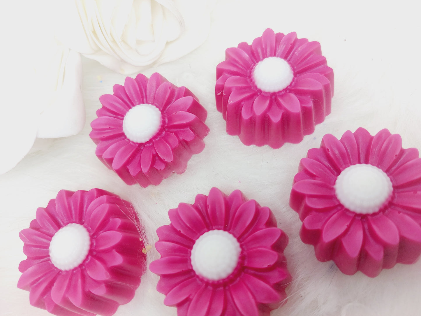 White Pixie ( Snow Fairy) Sunflower Shape