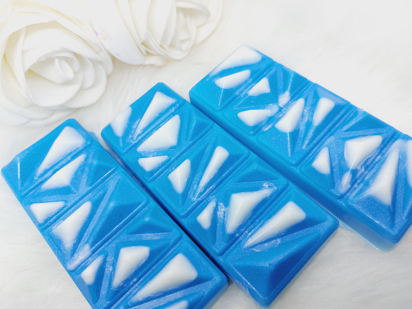 Bearded Dragon ( House Blend)