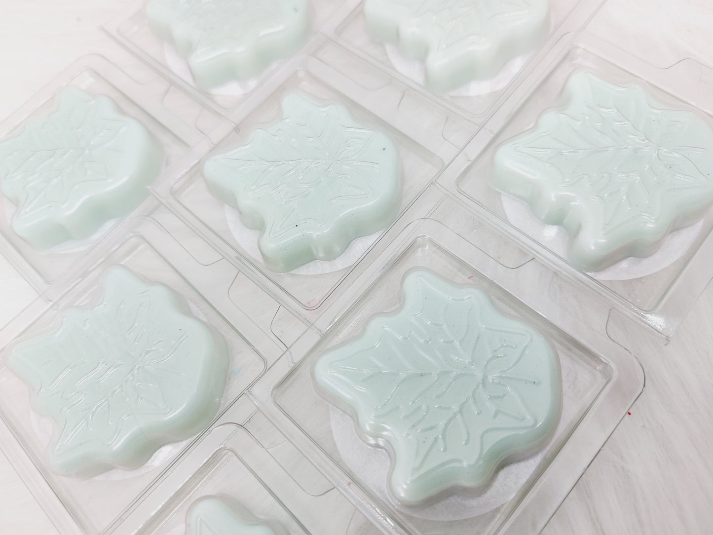 Sea Island Cotton Leaf Clams ( BBW)