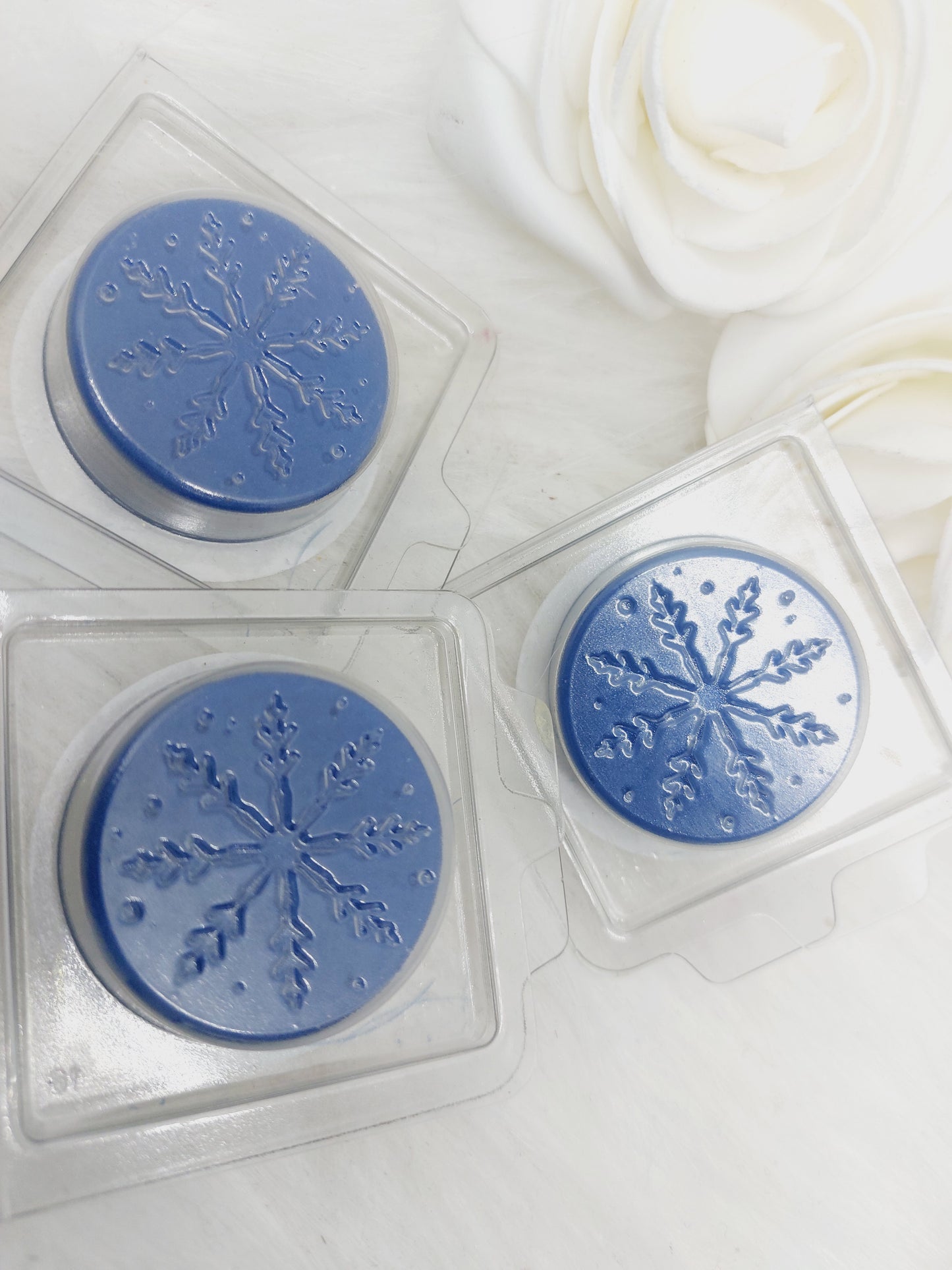 Moonlight ( Yankee) Snowflake Clams