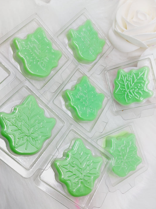 Coconut & Lime Breeze Leaf Shapes