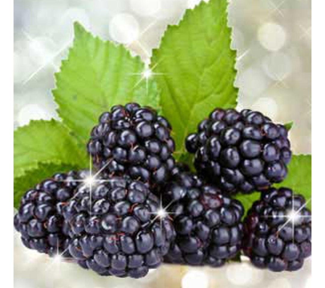 Blackberry Bling Bling