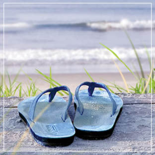 Beach Walk Teddy Shapes