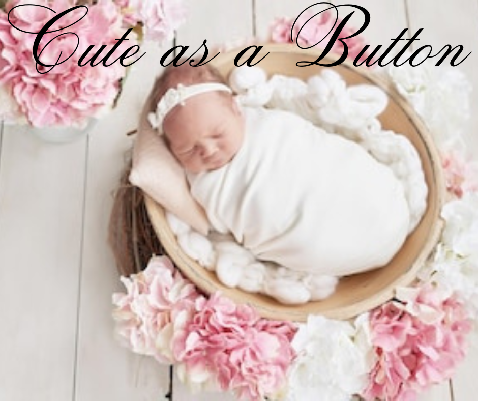 Cute as a Button. Snap bars