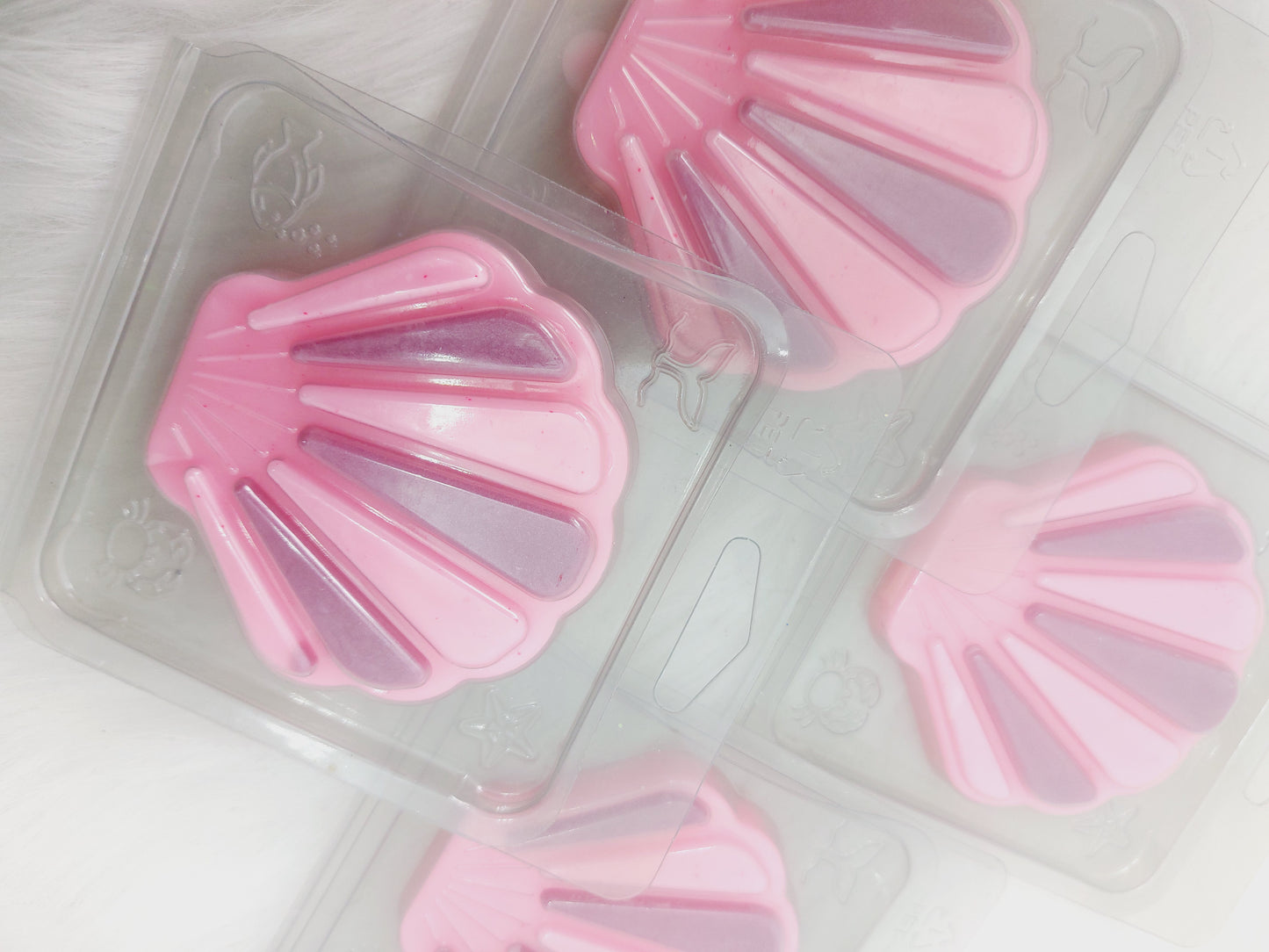 Sweet Candy Large Shell Shape