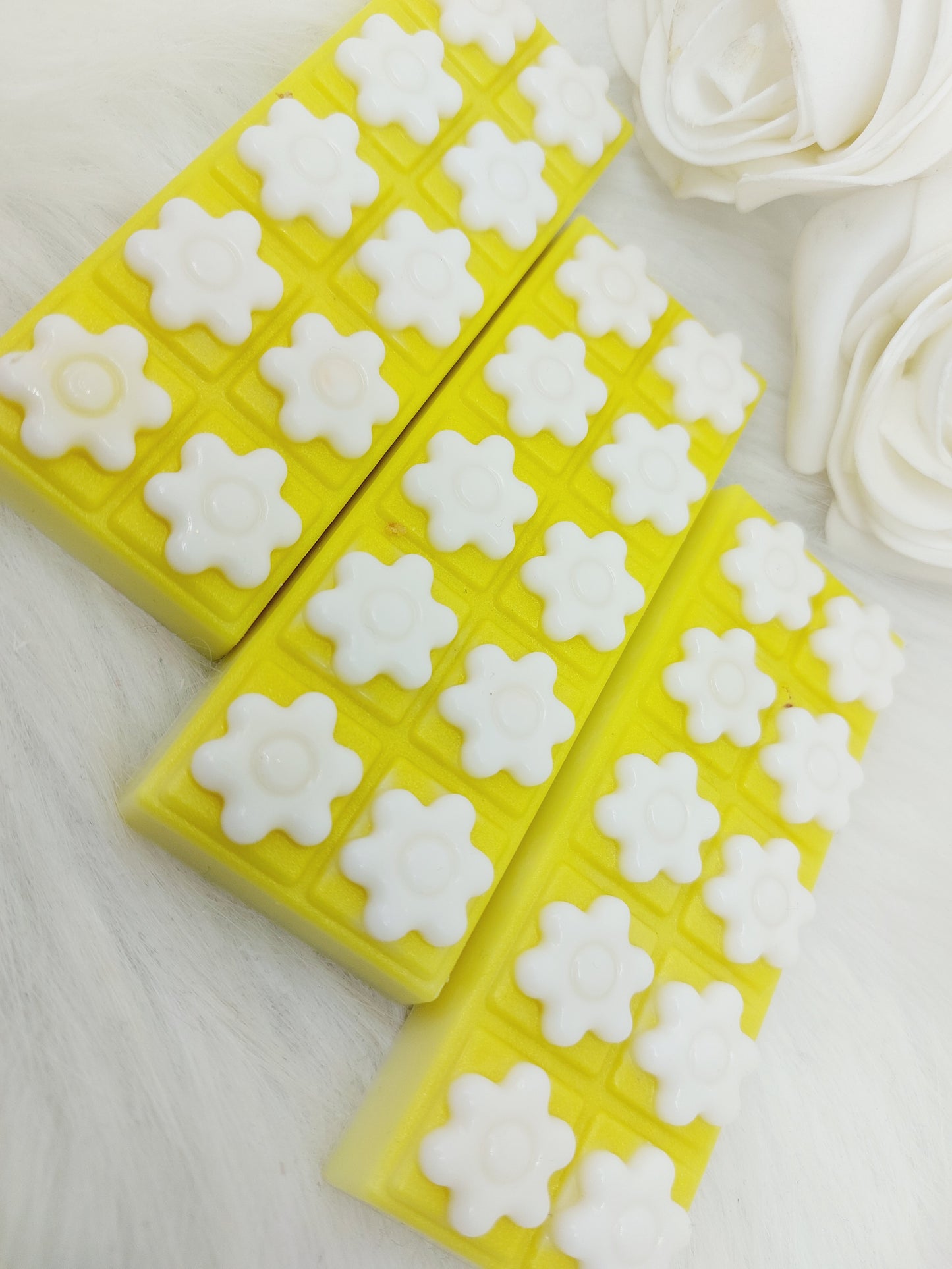 Small & Mighty Sunshine (Surf)