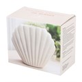 Seashell Burner
