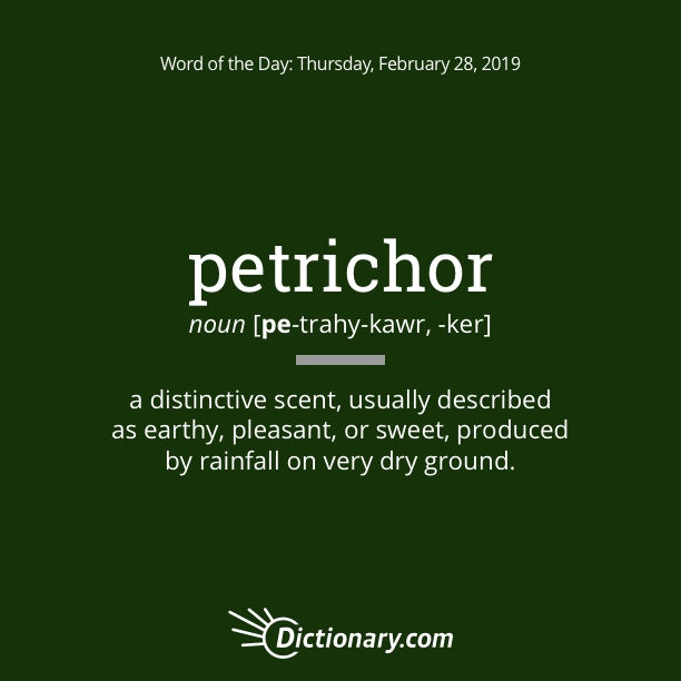 After the Rain (Petrichor)