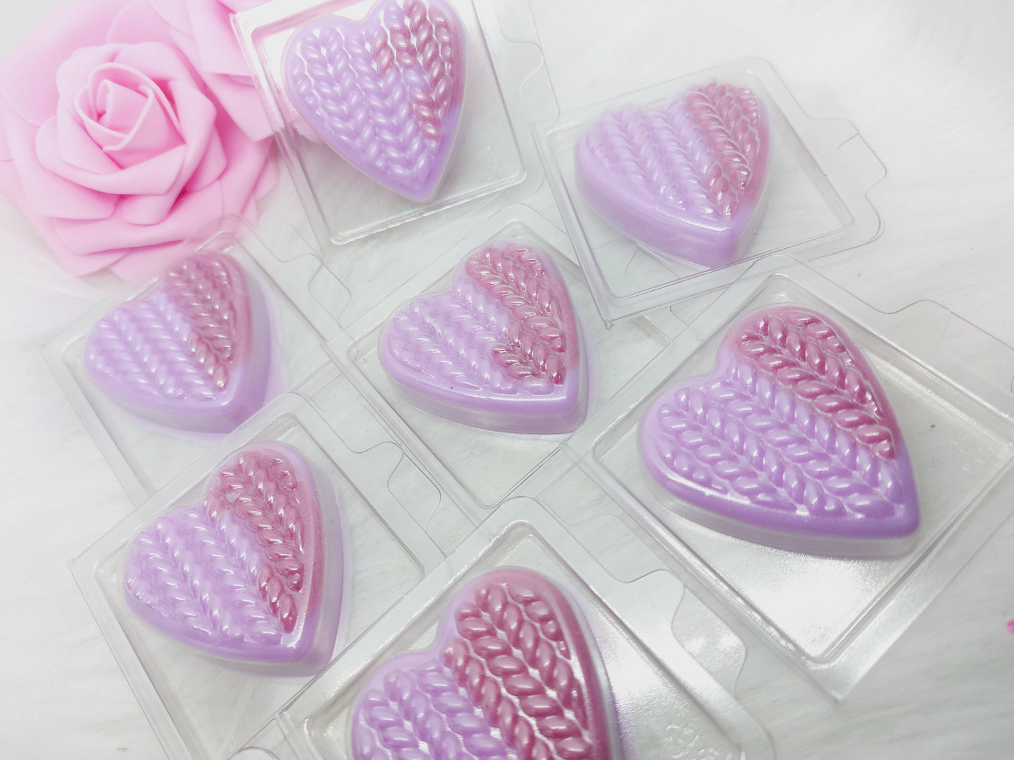 American Cream Heart Clams