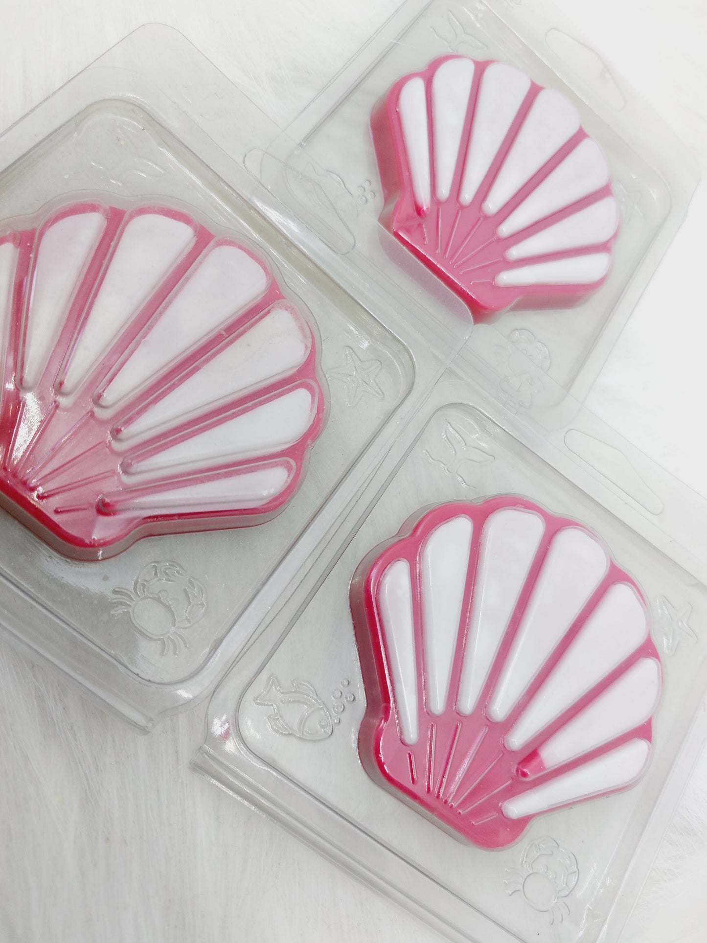 Marshmallow & Californian Cherry Shell Clam