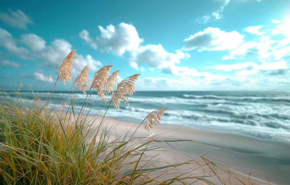 Sea Breeze. Heart Clams